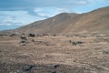 L1007657