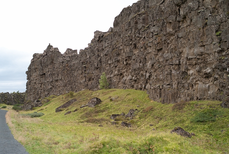 L1007993.jpg