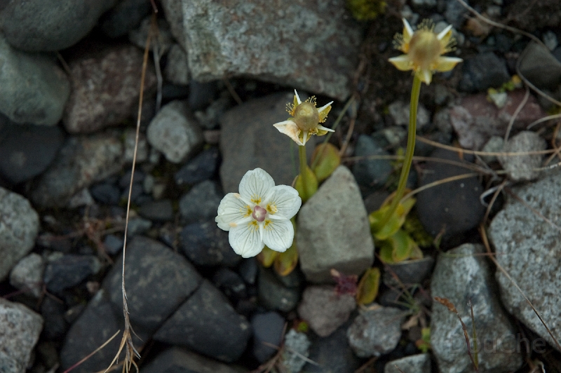 DSC_0028.jpg