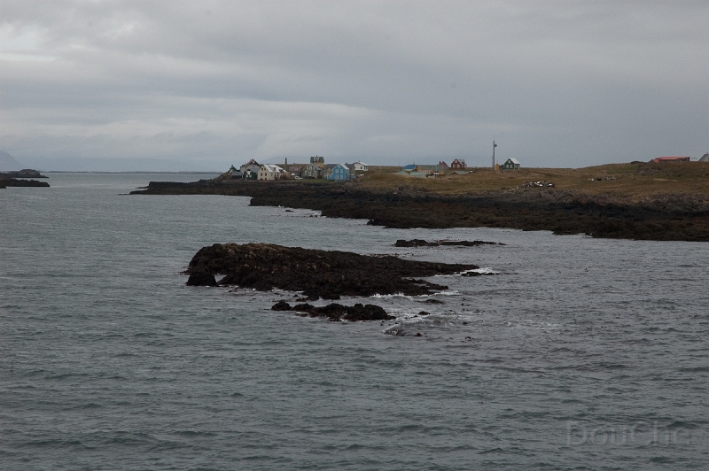 DSC_0105.jpg