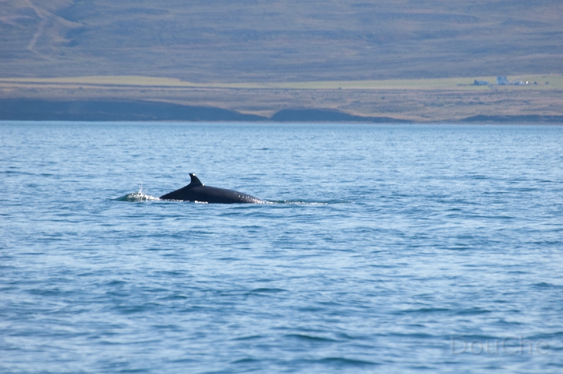 DSC_0044.jpg