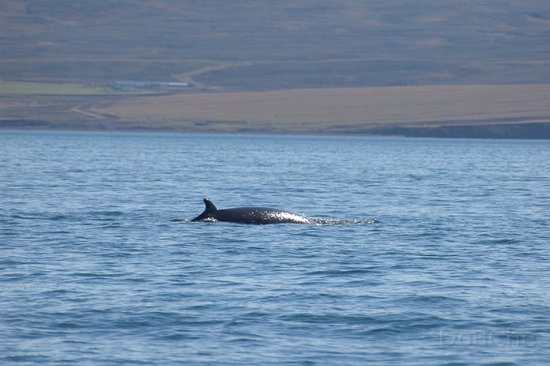 DSC_0046.jpg