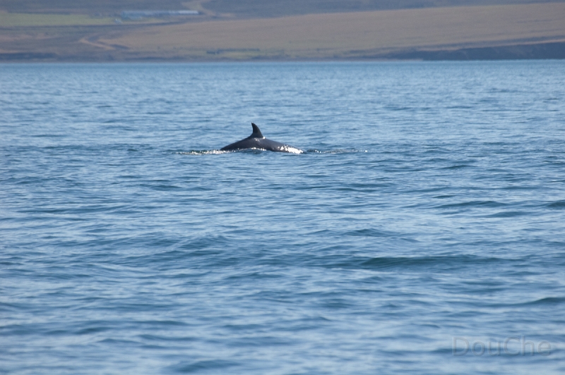 DSC_0047.jpg