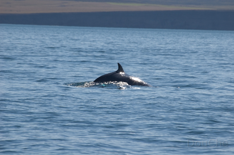 DSC_0049.jpg