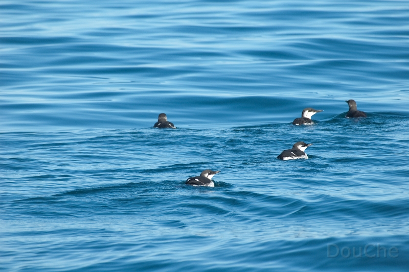DSC_0070.jpg