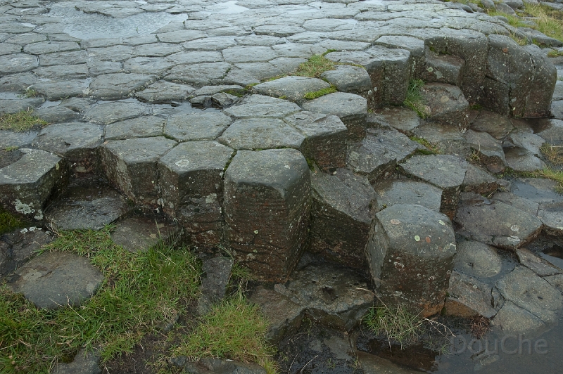 DSC_0066.jpg