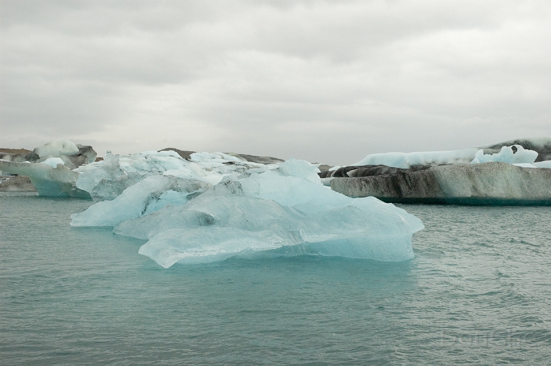 DSC_0117.jpg