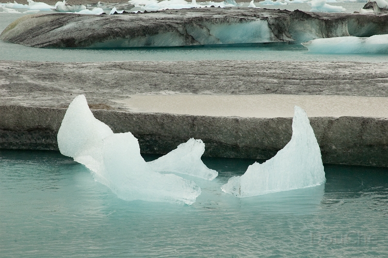 DSC_0135.jpg