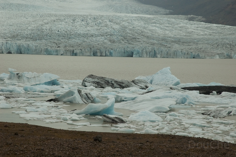 DSC_0181.jpg
