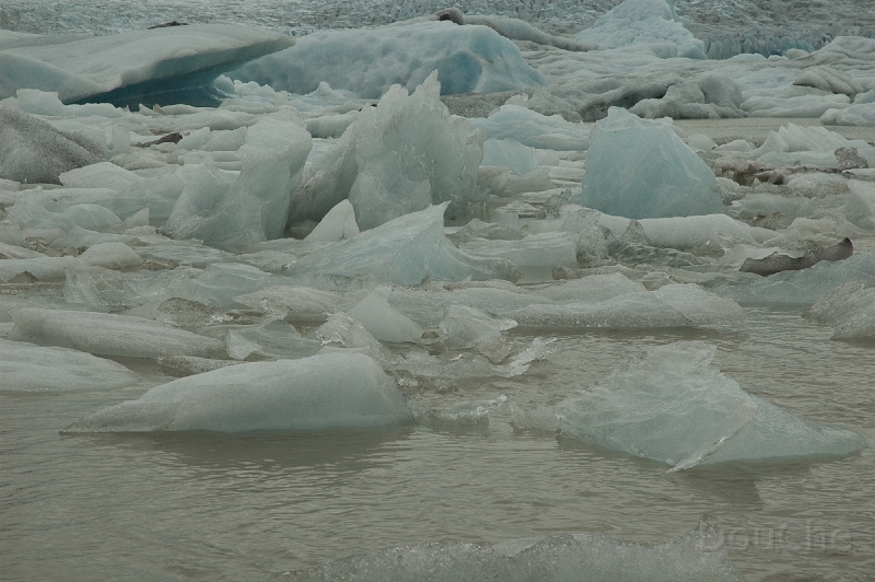 DSC_0184.jpg