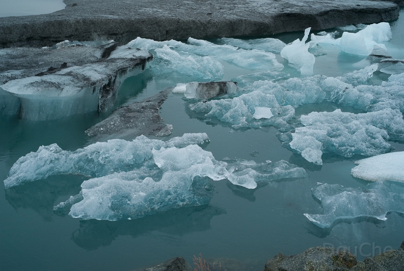 L1007839.jpg