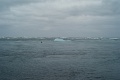 L1007883