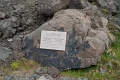 L1007910