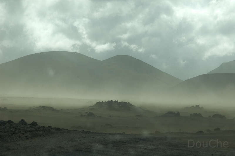 DSC_0137.jpg