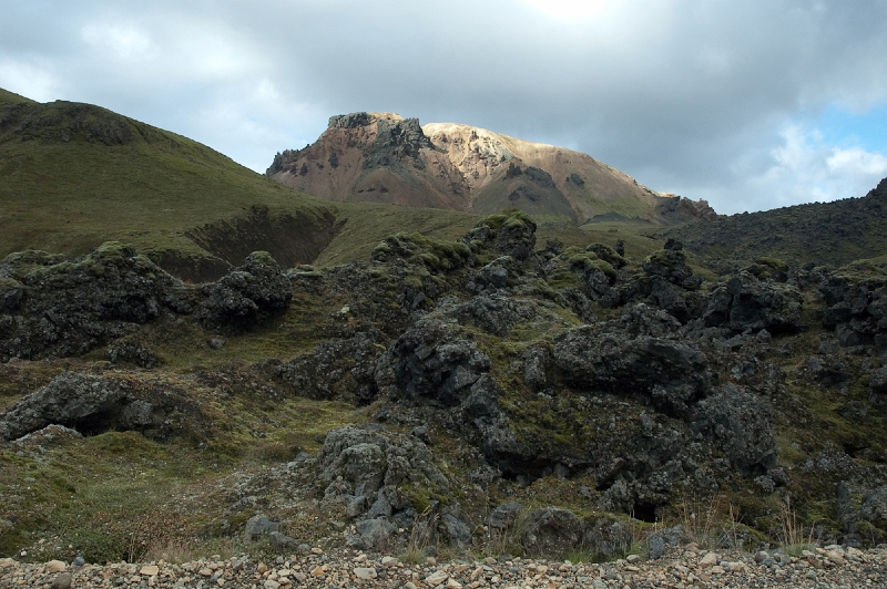 DSC_0156.jpg