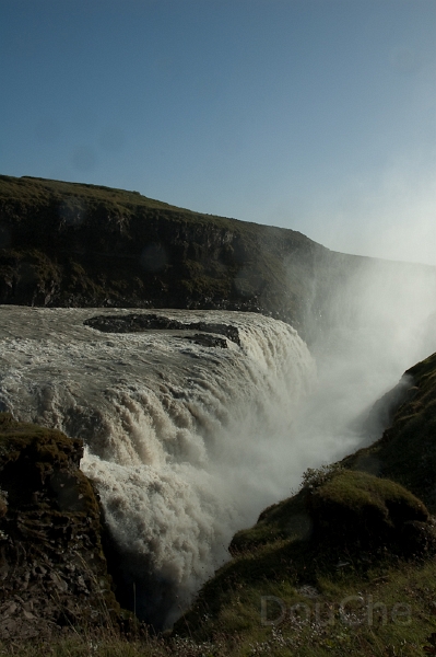 DSC_0204.jpg