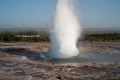 L1007982