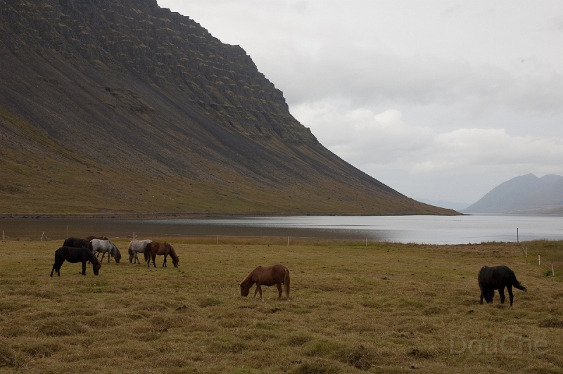 DSC_0234.jpg