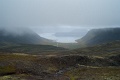 L1007409