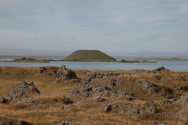 DSC_0125.jpg