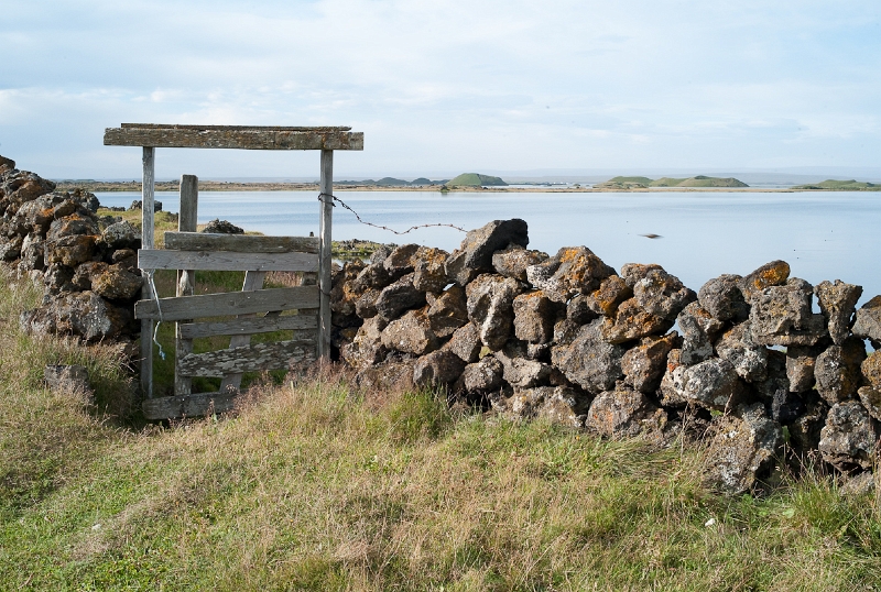 L1007664.jpg