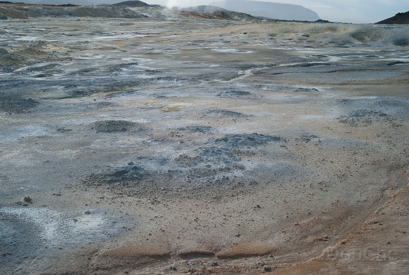 L1007676.jpg