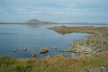 L1007665