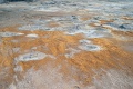 L1007679