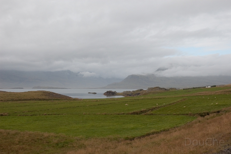 DSC_0333.jpg