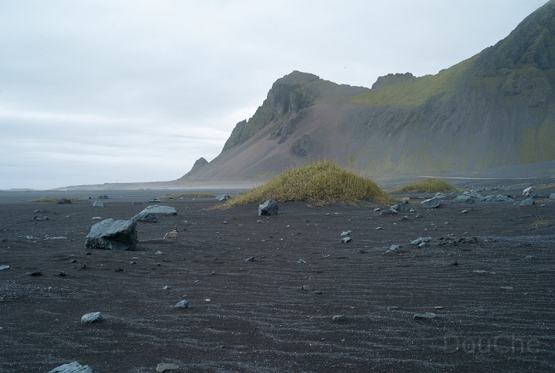 L1007796.jpg
