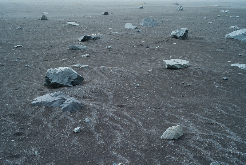 L1007797.jpg