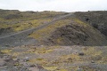 L1007817