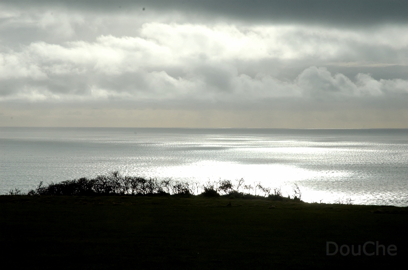 DSC_0096_out.jpg