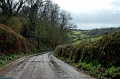 DSC_0188_out