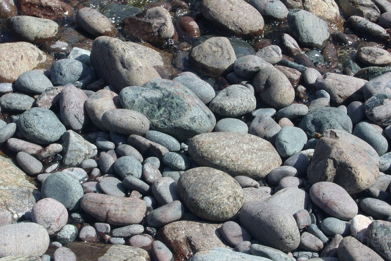 P1100027.jpg