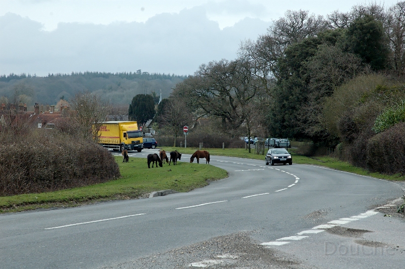 DSC_0109_out.jpg