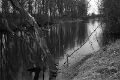 Dilsen-Stokkem