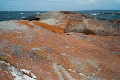 L1012104