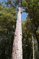 L1012362