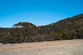 L1012397