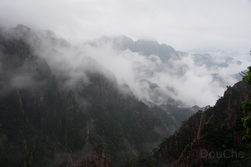 DSC_5135.jpg