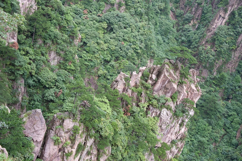 DSC_5195.jpg