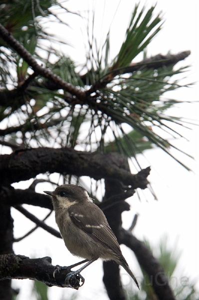 DSC_5060.jpg