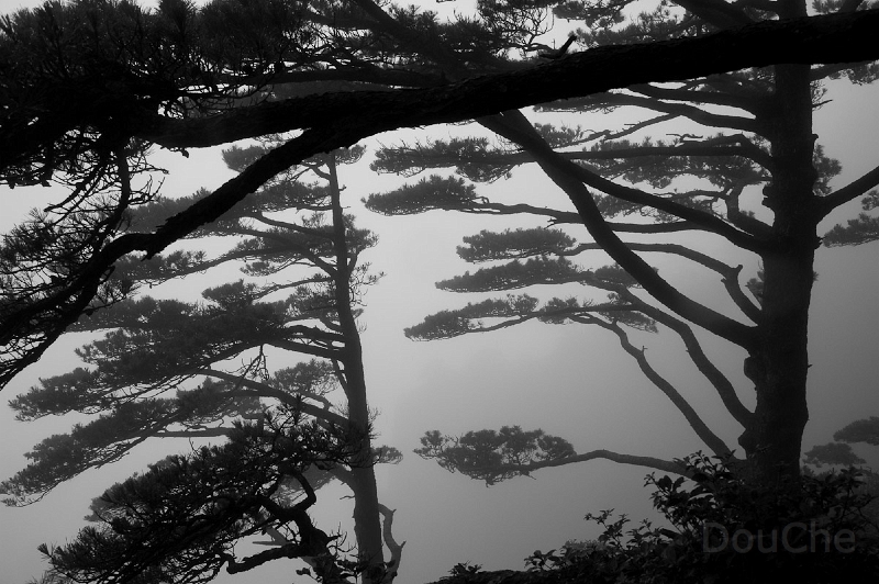 DSC_5094.jpg