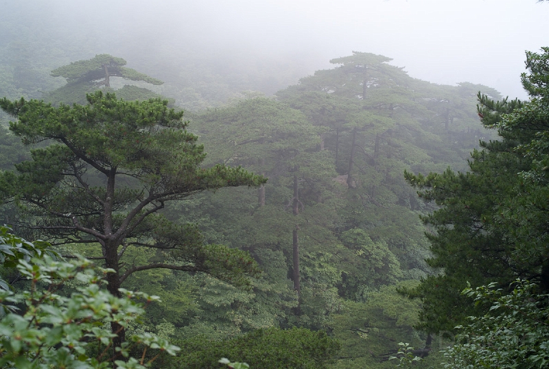 L1010105.jpg