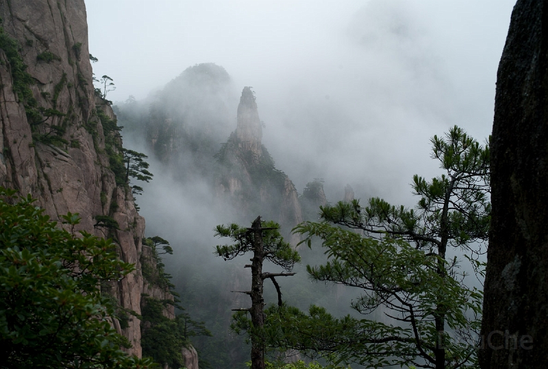 L1010142.jpg