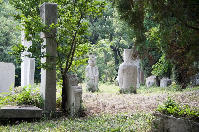 DSC_4993.jpg