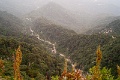 L1009783