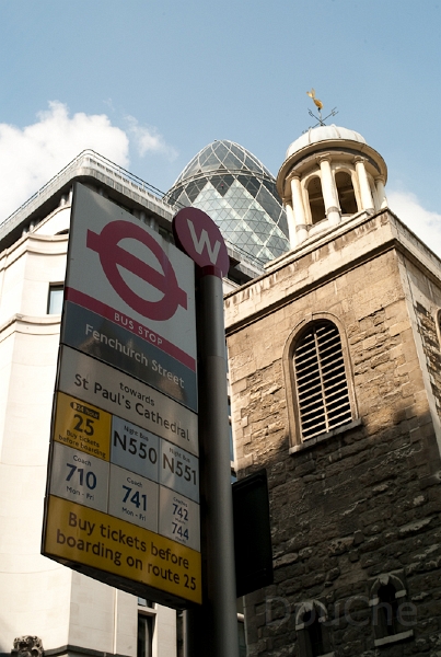 L1009218.jpg