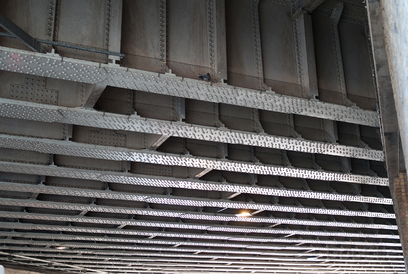 L1009299.jpg